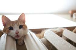 У Кропивницькому без тепла залишилися десятки будинків