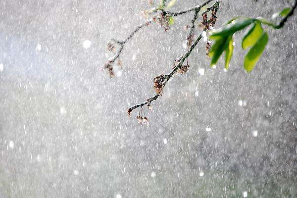 У Київ ідуть дощі зі снігом