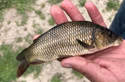 На Київщині з 29 березня заборонено ловити рибу