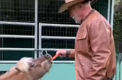 Арнольд Шварценеггер