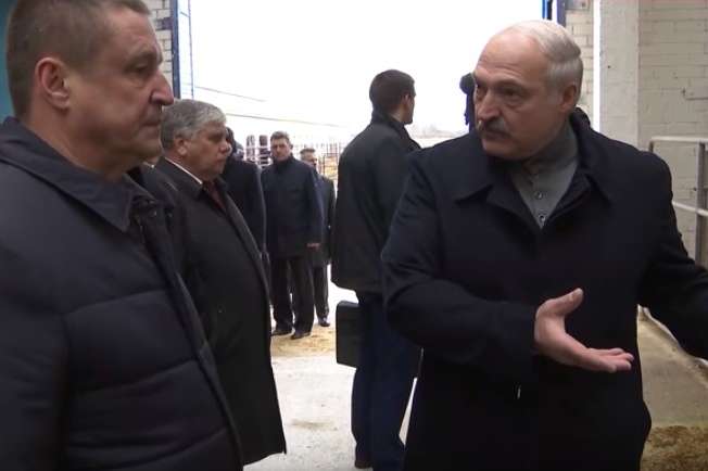 Лукашенко розлютився через жахливі умови в корівнику і звільнив губернатора
