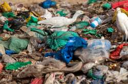 Європарламент заборонив продаж одноразового пластикового посуду з 2021 року