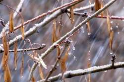 В Україні збережеться прохолодна погода, місцями опади