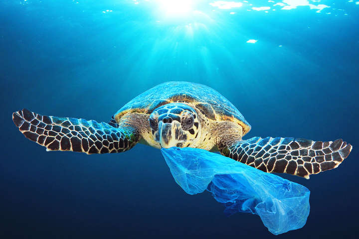 Европарламент одобрил запрет одноразовых изделий из пластика