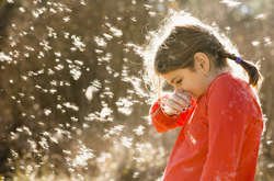 Алергологи оприлюднили прогноз на тиждень для українців