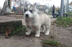 Україна у вихідні насолоджуватиметься синоптичним комфортом: скрізь буде тепло та сонячно