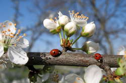 Прогноз погоды на завтра: в некоторых областях до +20