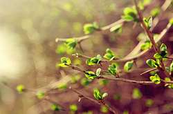 Сьогодні в Україні без опадів