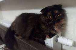 В Україні закінчується опалювальний сезон