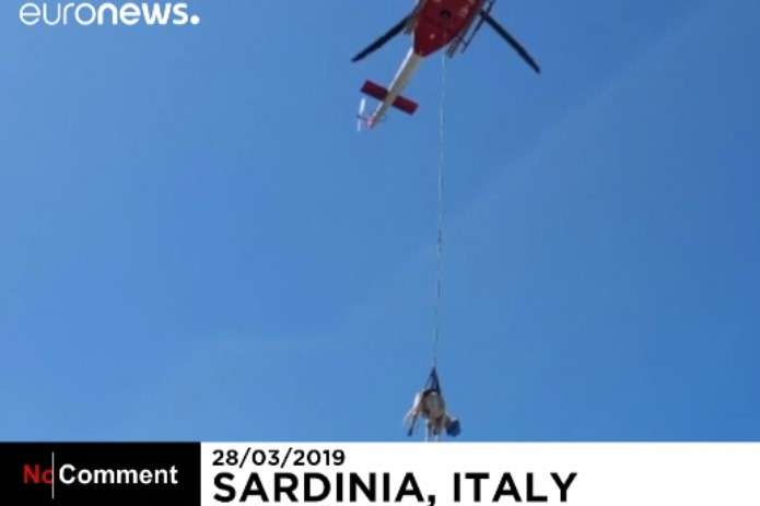 На Сардинії провели спецоперацію з порятунку корови (відео)