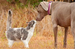 На більшій частині України буде сонячно та прохолодно, а на сході - дощі та сніг