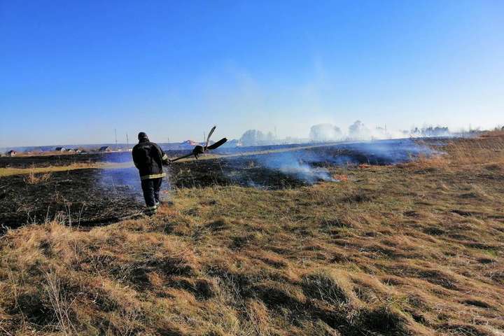 За добу на Київщині вигоріло 111 га трави