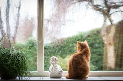 Вітер залишається поривчатим, подекуди й сильним, - Діденко