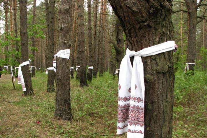 Оголошено підозру підприємцю, який вирубав тисячі дерев у заповіднику «Биківнянські могили»
