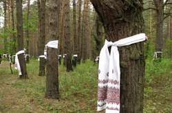 Оголошено підозру підприємцю, який вирубав тисячі дерев у заповіднику «Биківнянські могили»