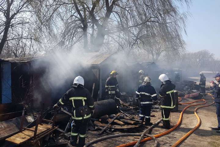 На Львівщині масштабна пожежа сухостою знищила шість гаражів