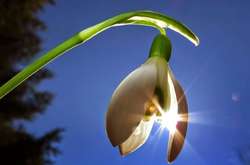 Повітря в Україні прогріється до 18°