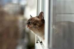 В Україну йде потепління