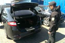 В автівці прикордонники Одеського загону виявили набої до бойової зброї