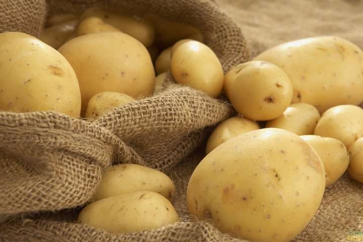 Європа говорить українській картоплі «ні»