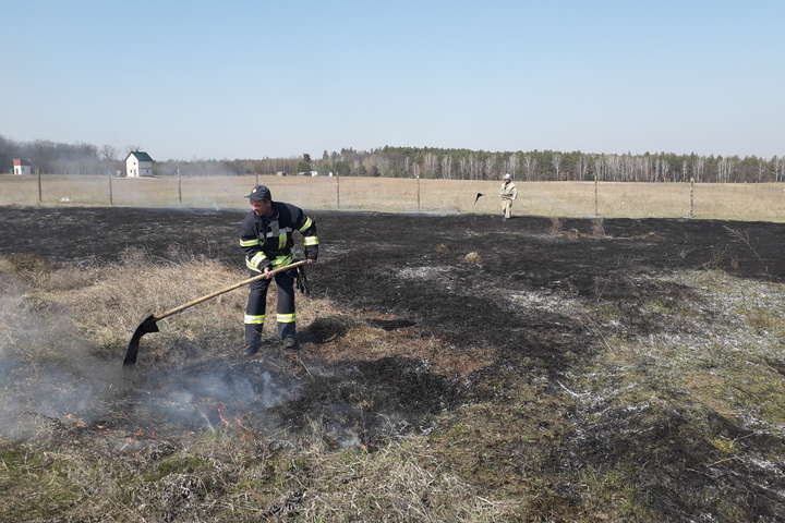 На Київщині пожежі в екосистемах нищать траву та будинки