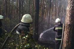 У заповіднику «Биківнянські могили» сталася масштабна пожежа