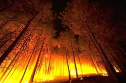 У Південній Кореї через лісову пожежу оголосили надзвичайний стан