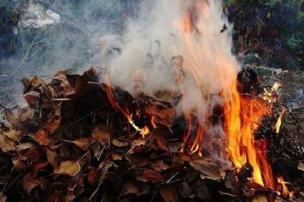 Трагедія у Вінницькій області: жінка палила сміття, а згоріла сама