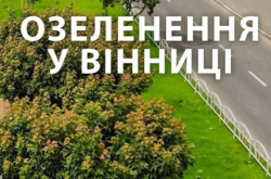 У Вінниці висадять понад дві тисячі дерев