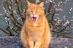 Атмосферний фронт принесе в Україну незначне похолодання