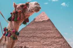  Фото: unsplash / @omarelsharaawy 
 
  
 
  
  
 