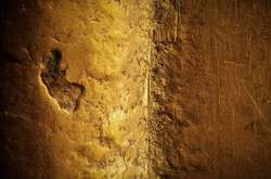 Удивительные миры нашего мира: повседневные вещи под микроскопом 