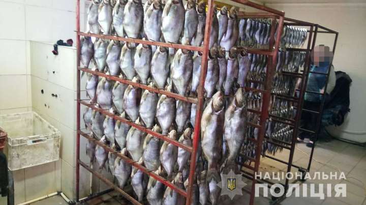 Під Дніпром поліція виявила підпільне виробництво копченої та в’яленої риби