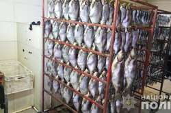  Під Дніпром поліція виявила підпільне виробництво копченої та в’яленої риби 