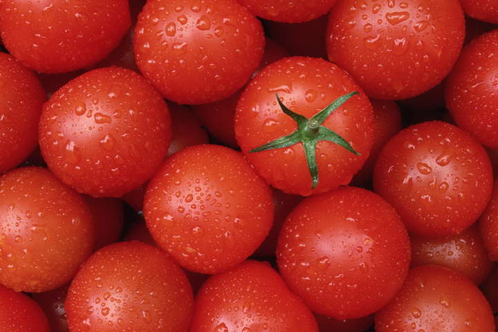 В Украину завезли зараженные помидоры из Турции