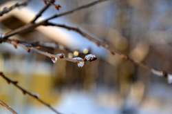 Україну охопить хвиля похолодання та опадів: прогноз погоди на 11 квітня