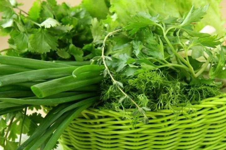 Киян запрошують на ярмарки: де купити свіжу зелень для вітамінних салатів