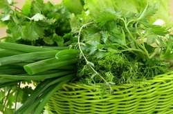 Киян запрошують на ярмарки: де купити свіжу зелень для вітамінних салатів