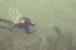 Пляшки, банки та рейки: одеські водолази почали обстежувати морське дно