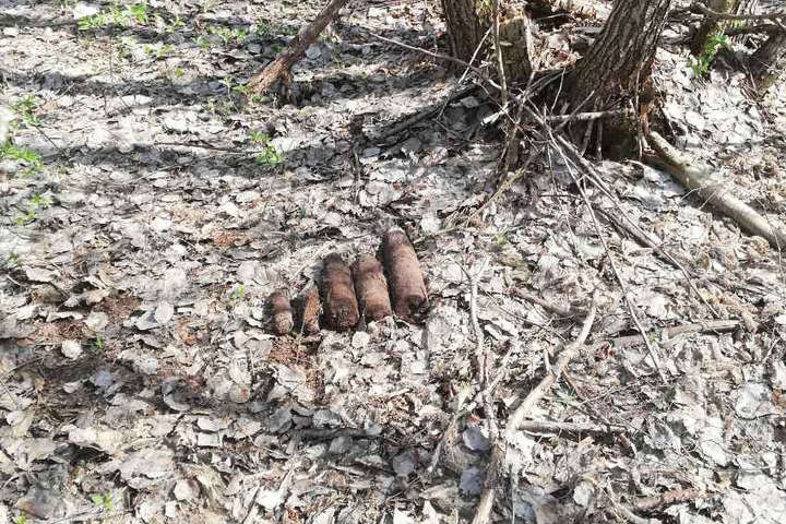 У лісі на Київщині виявлено кілька десятків снарядів (фото)