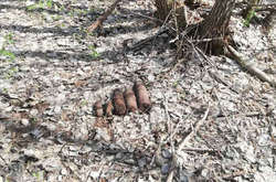 У лісі на Київщині виявлено кілька десятків снарядів (фото)