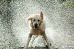 В Україну йдуть дощі та поривчастий вітер