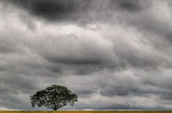 Синоптик дала несприятливий прогноз до кінця тижня: насувається циклон