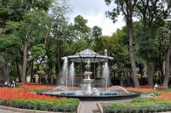 У Міському саду висадять молоді дерева