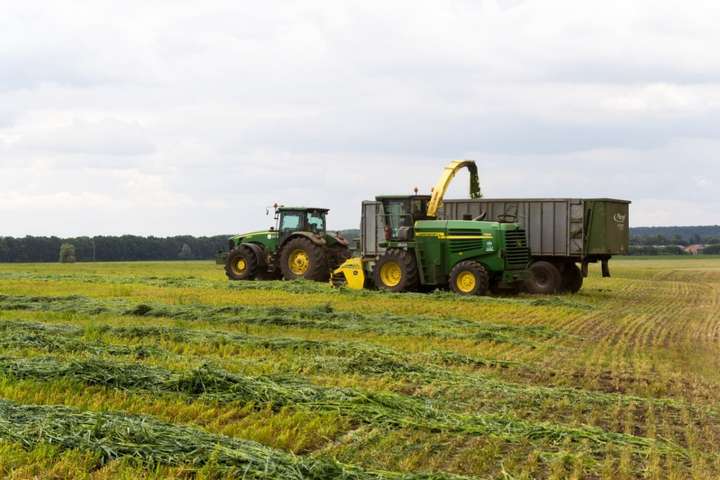 В Украине ожидается рекордный урожай рапса