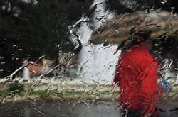 В Україні очікуються дощі та мінлива хмарність: прогноз погоди на 14 квітня