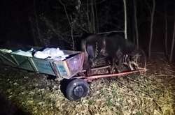 Українці намагались провезти до Білорусі 800 кг сала кіньми