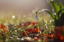 Погода в Україні на 15 квітня: в окремих областях очікуються дощі