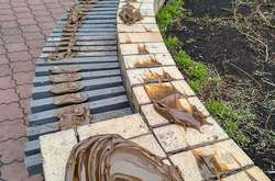  Вимазані солідолом лавочки на Оболонській набережній 