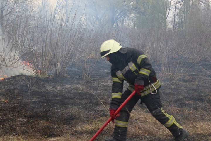 На острові Муромець у Києві сталася пожежа (фото)